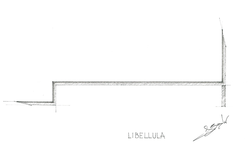 libellula - concept