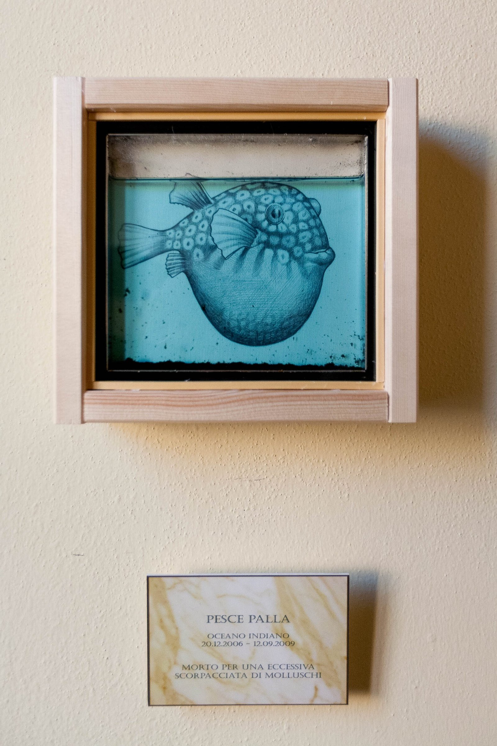 Marcello Carrà alla MLB Home Gallery di Ferrara